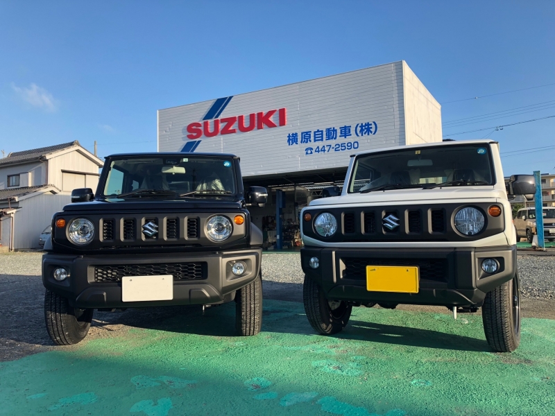サンプル画像